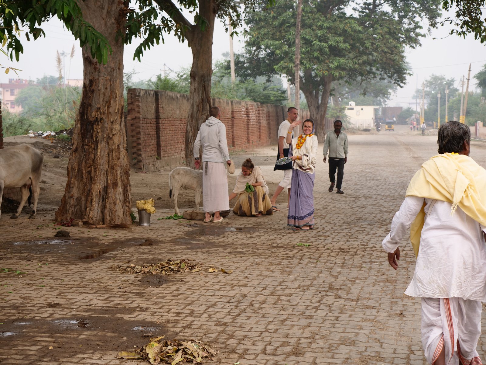  29 Gopashtami Radha kunda Govardhan 19.11.04